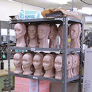 バイオスキン工程